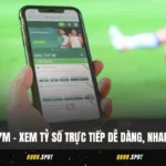 bong da 7m