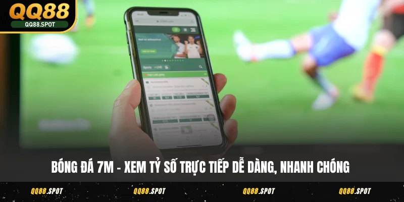 bong da 7m